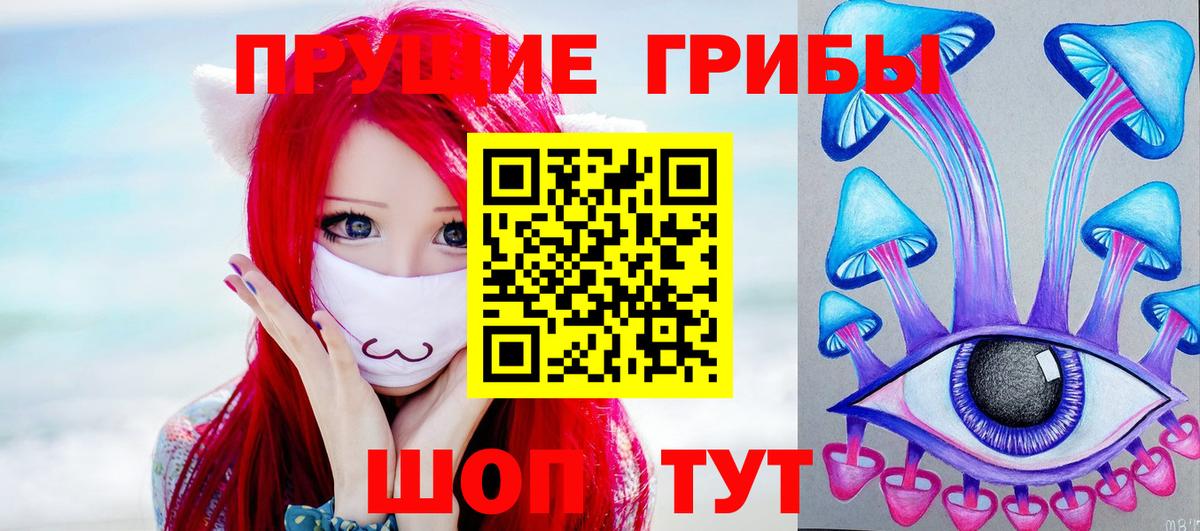 Псилоцибиновые грибы Cubensis Новодвинск