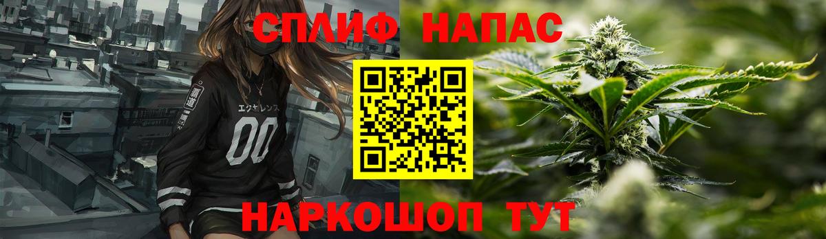 МЕФ Новодвинск